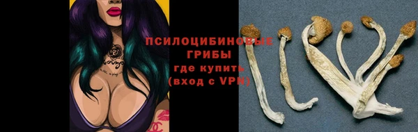 Альфа ПВП Покровск